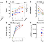 Figure 2. Reversal of immune dysfunction and CCR5 receptor occupancy in critically ill COVID-19 patients after leronlimab administration. a-c, Plasma levels of IL-6 (a), and peripheral blood CD8+ T cell percentages of CD3+ cells (b) and CD4/CD8 T cell ratio (c) at days 0 (n=10), 3 (n=10), 7 (n=7), and 14 (n=6) post-leronlimab administration. Healthy controls (n=10) shown in black triangles. Graphs display p-values calculated by Dunn’s Kruskal-Wallis test: not significant p > 0.05, *p ≤ 0.05, ** p ≤ 0.01, ***p ≤ 0.001, ****p ≤ 0.0001. d-e, CCR5 receptor occupancy on peripheral blood bulk T cells (d), and monocytes (e). f, SARS-CoV-2 plasma viral load at days 0 and 7 post-leronlimab (n=7). Graph displays p-value calculated by Mann-Whitney test: *p ≤ 0.05, ** p ≤ 0.01, ***p ≤ 0.001, ****p ≤ 0.0001. (Source Patterson et al., Pre-Print)