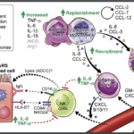 Source: Vabret et al., 2020