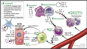 Source: Vabret et al., 2020