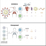 Grifoni et al., 2020 Graphical Abstract