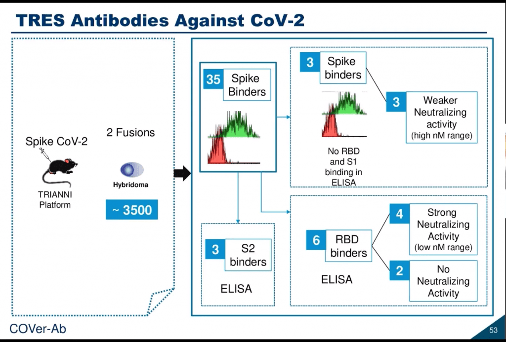 IUIS inar COVID19 Monoclonal Abs Immunopaedia