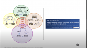 Schema representing the most remarkable pathophysiological events involved in each of the four vicious feedback loops and the complex interactions established between them. Intersections between circles represent interaction between loops. The central circle colored in red means the final events of the physiopathologic cascade. The vicious viral loop is depicted in green, the hyperinflammatory loop is colored in orange, the ACE2/Ang-(1–7) loop is colored in yellow, and the hypercoagulation loop is colored in purple. IFN = interferon; PAMPs = Pathogen-associated molecular patterns; DAMPs = Damage-associated molecular patterns; SARS-CoV-2 = Severe acute respiratory syndrome Coronavirus 2; AECs = Alveolar epithelial cells; ECs = Endothelial cells; ACE2 = Angiotensin-converting enzyme 2; Ang-(1–7) = Angiotensin 1–7; ACE = Angiotensin-converting enzyme; Ang II = Angiotensin II; NO = Nitric oxide; PGI2 = Prostacyclin; MΦ = Macrophages; PMNs = Polymorphonuclear neutrophils; DAD = Diffuse alveolar damage; ALI = Acute lung injury; ARDS = Adult respiratory distress syndrome; EOD = End-organ disease.