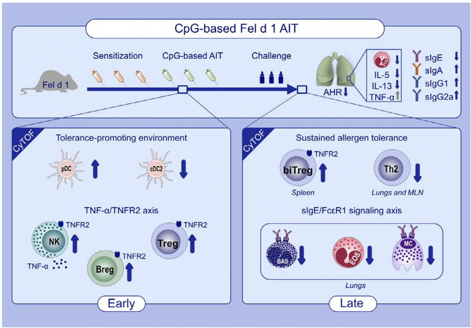 Researchers may have found a way to “cure” cat allergies? Immunopaedia