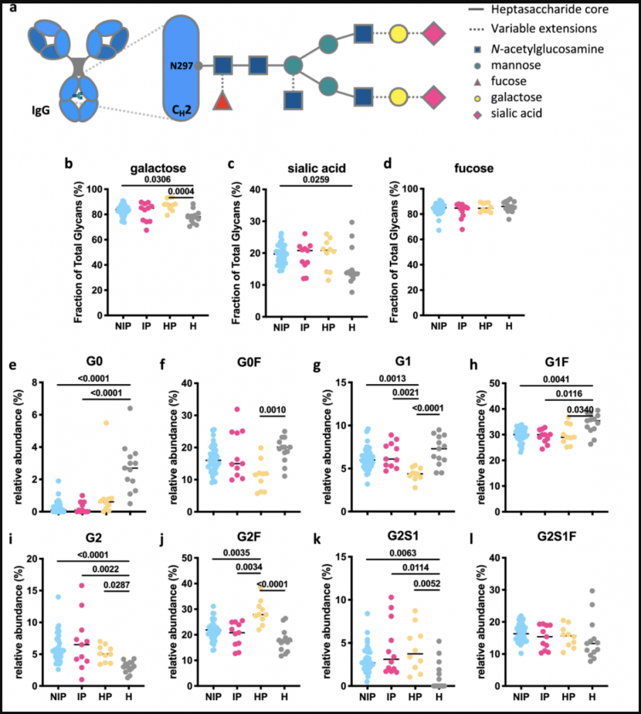 Pregnant women show elevated levels of antiinflammatory glycosylation