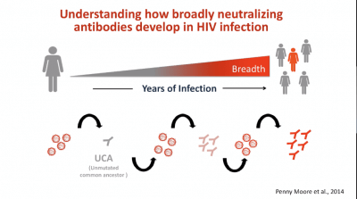 iuis-webinar-hiv-prevention-antibodies-and-vaccine-development-part