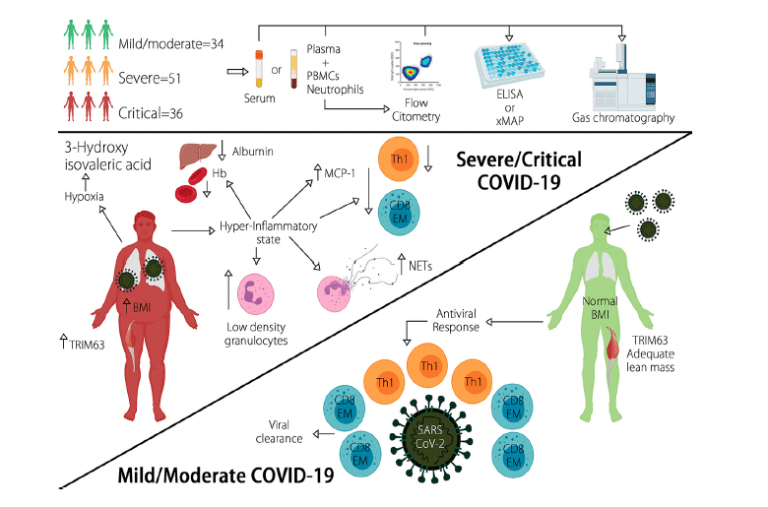 A new tool for predicting COVID-19 severity and prognosis ...
