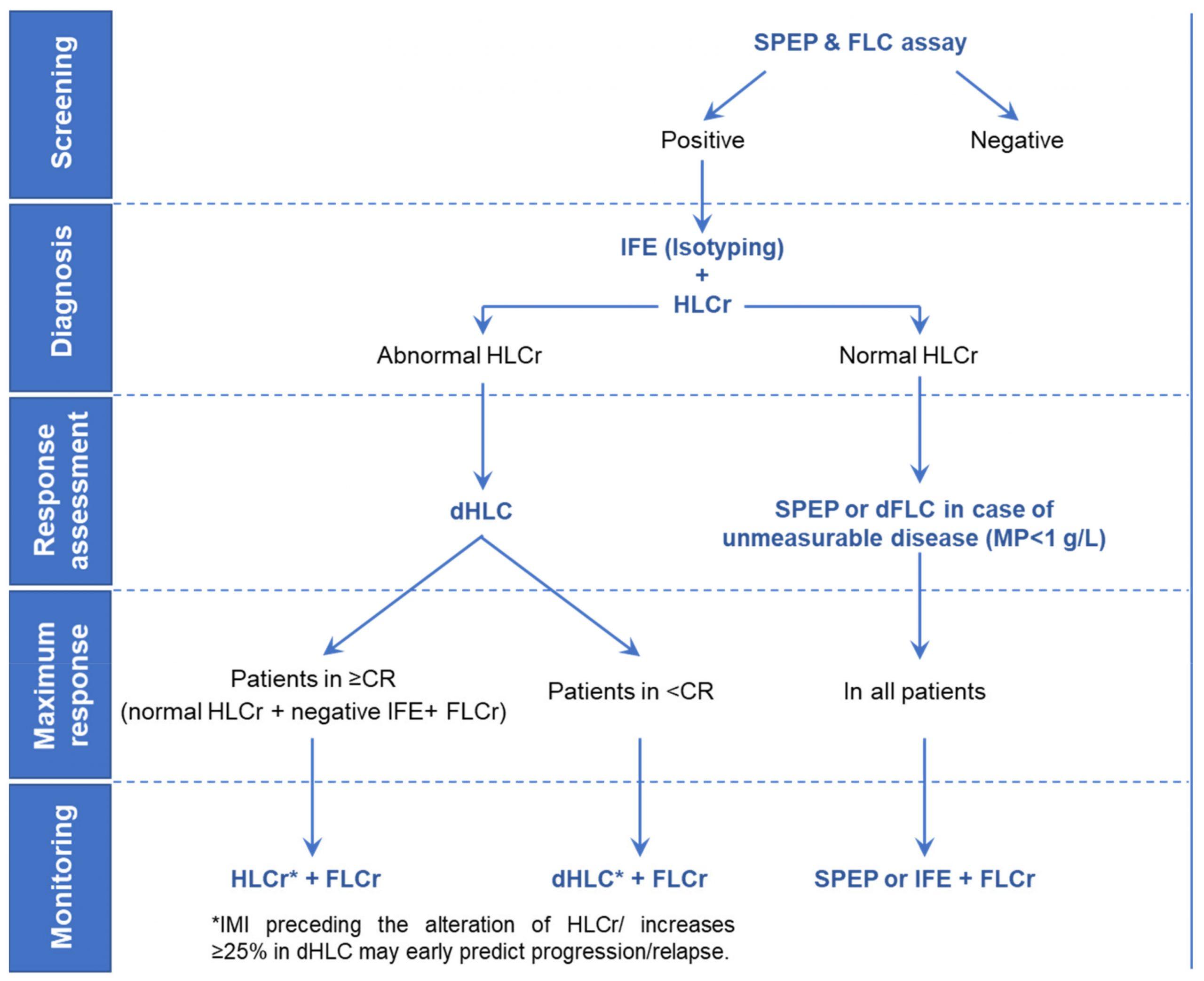 New the diagnosis, and monitoring of Multiple Myeloma: What's the of the Heavy/Light Chain Assay? | Immunopaedia