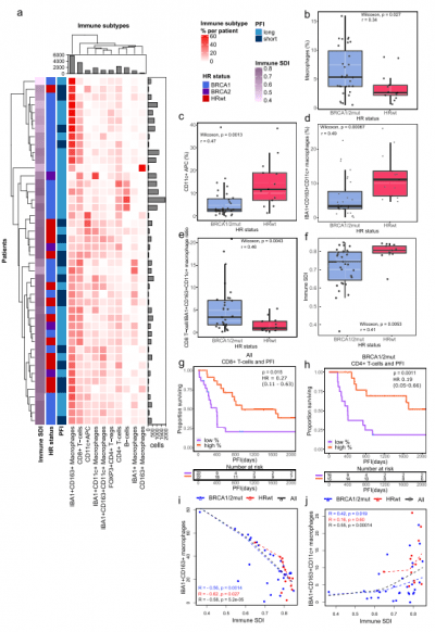 Ovarian cancer and immune evasion | Immunopaedia Immunopaedia