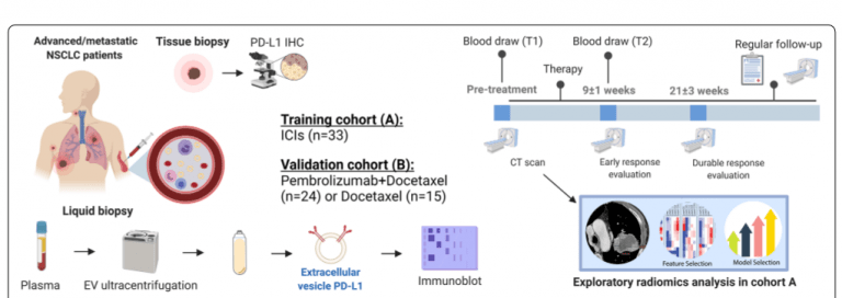 Novel insights: immunotherapy responses in lung cancer | Immunopaedia ...
