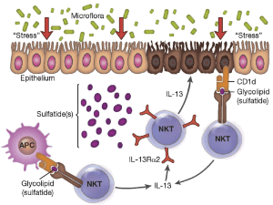 case study ulcerative colitis patient