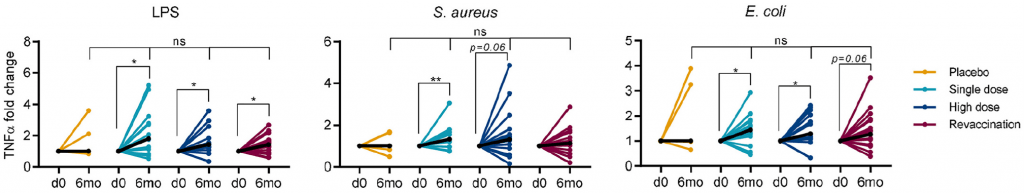 Is Trained Immunity Impacted By Revaccination Or Bcg Dose