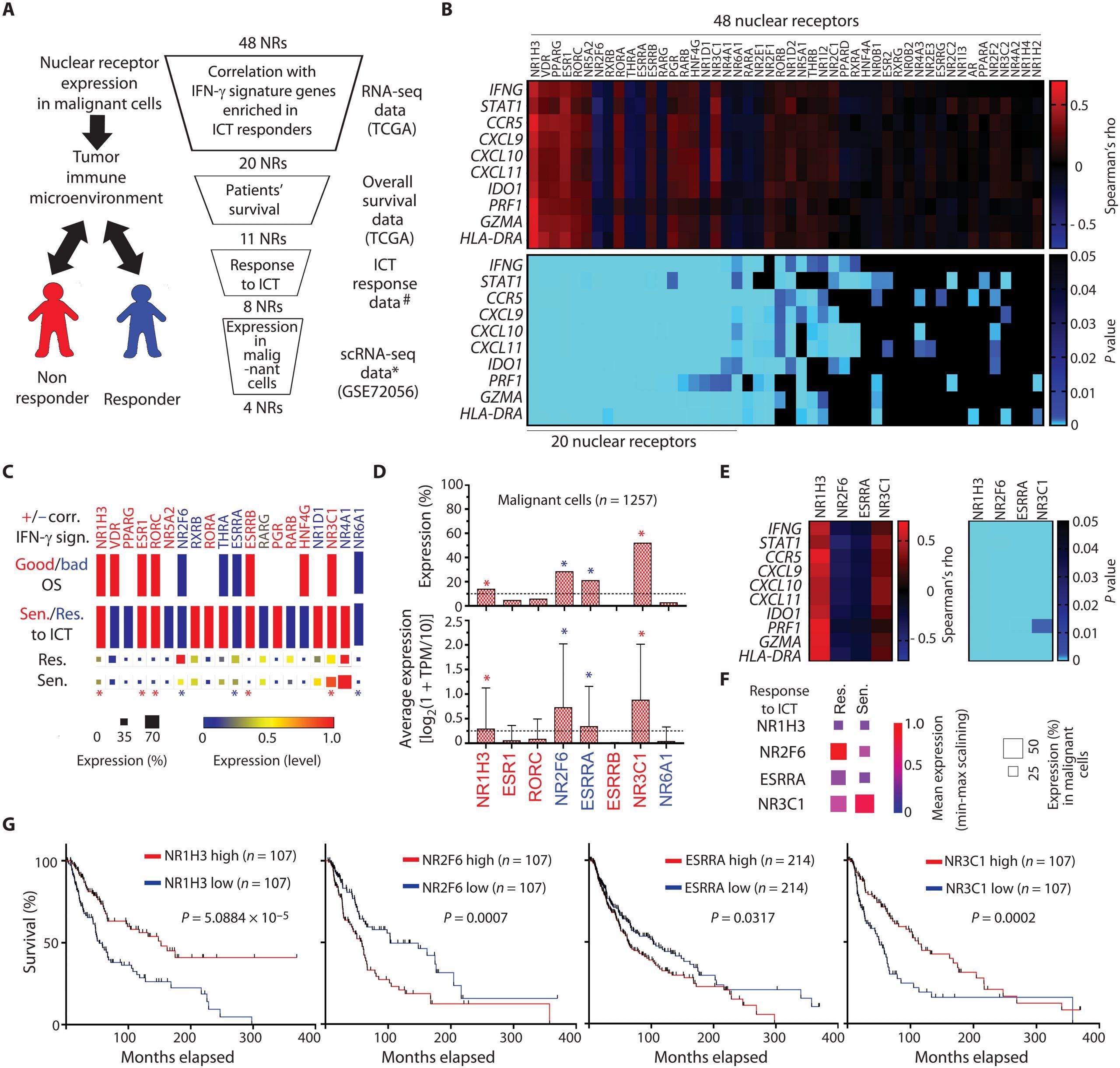 How melanoma evades the immune system