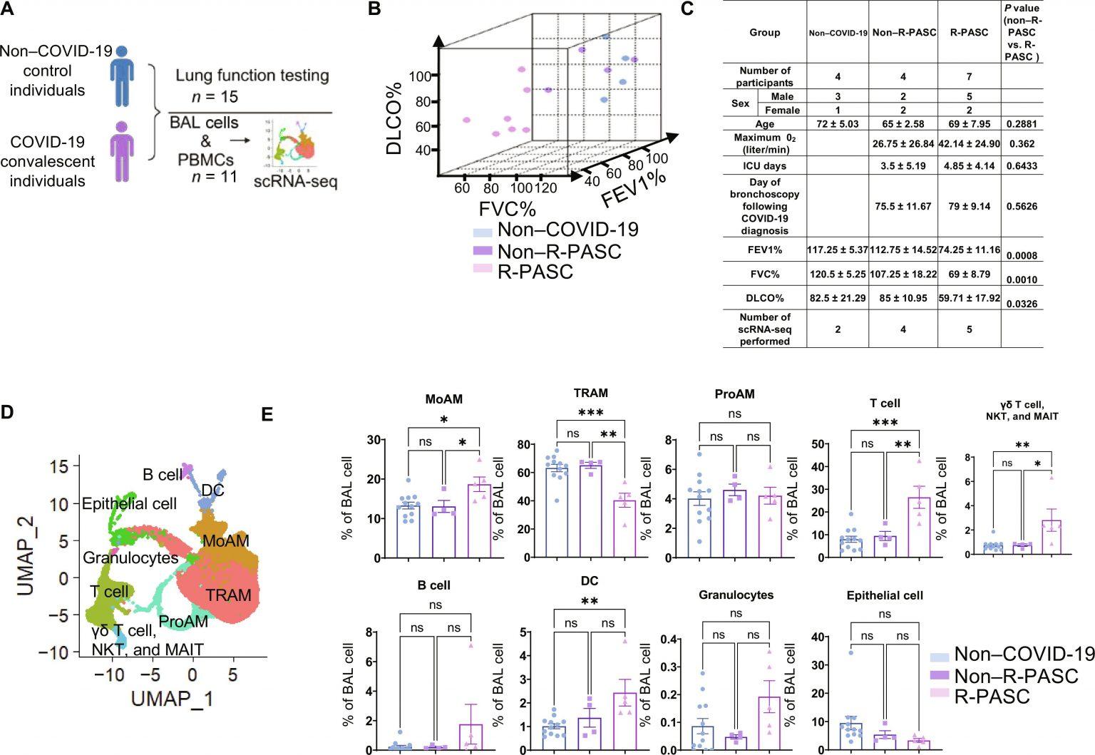 A Potential Breakthrough in Long COVID Treatment | Immunopaedia ...
