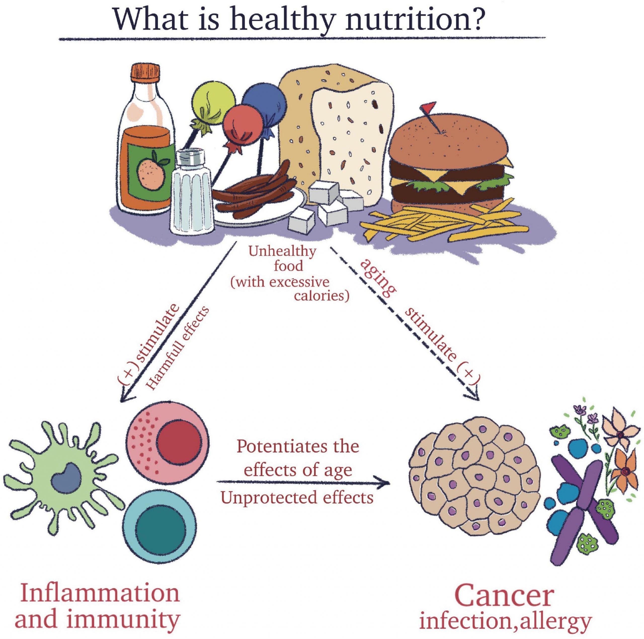 Food Insecurity Inflammation And Immune Function Among Older US Food Insecurity Inflammation And Immune Function Among Older US