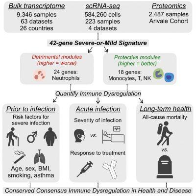 A Conserved Gene Signature Predicts Immune Dysregulation and Severe ...